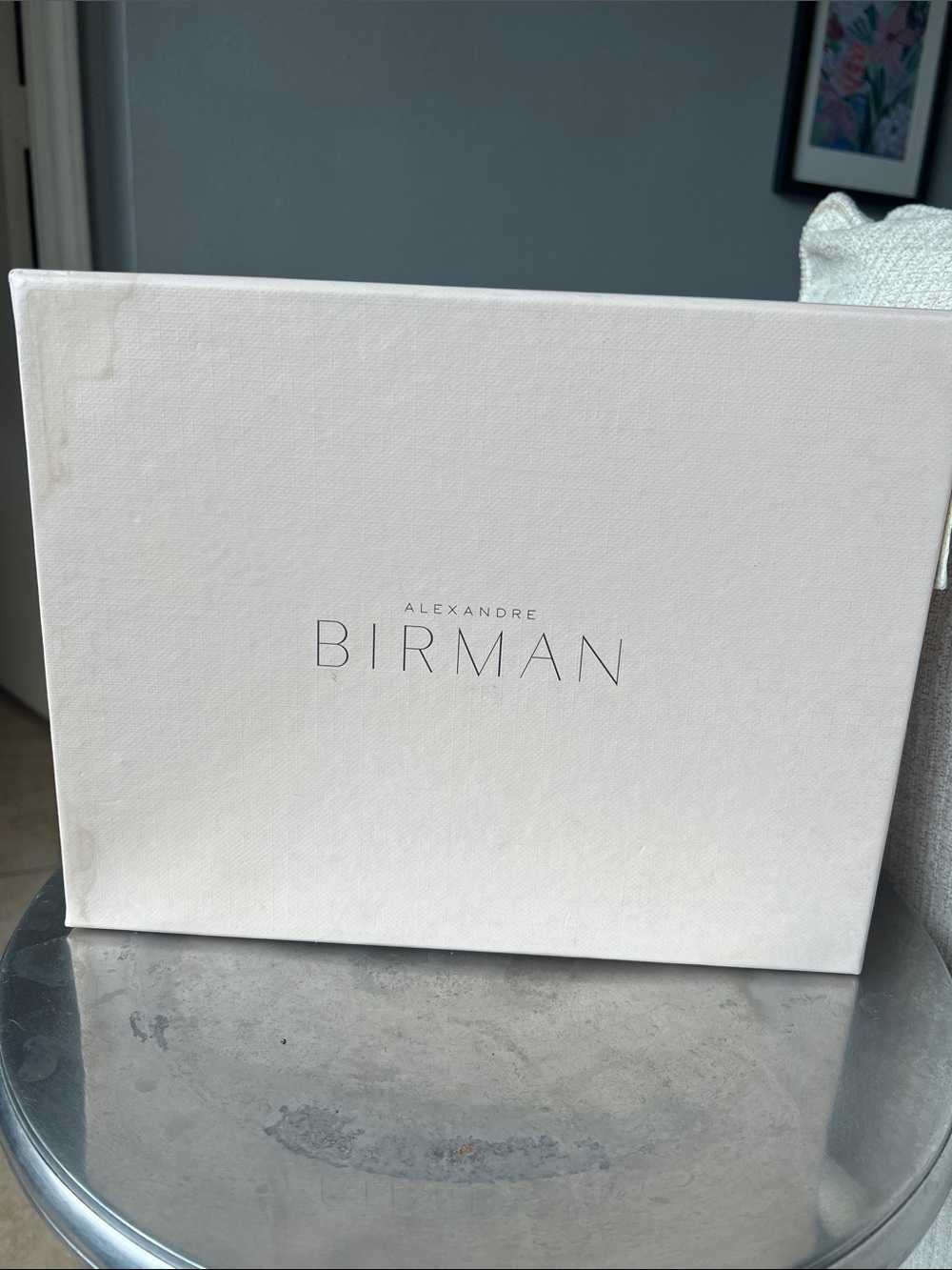 Alexandre Birman EMPTY shoe box and dustbag